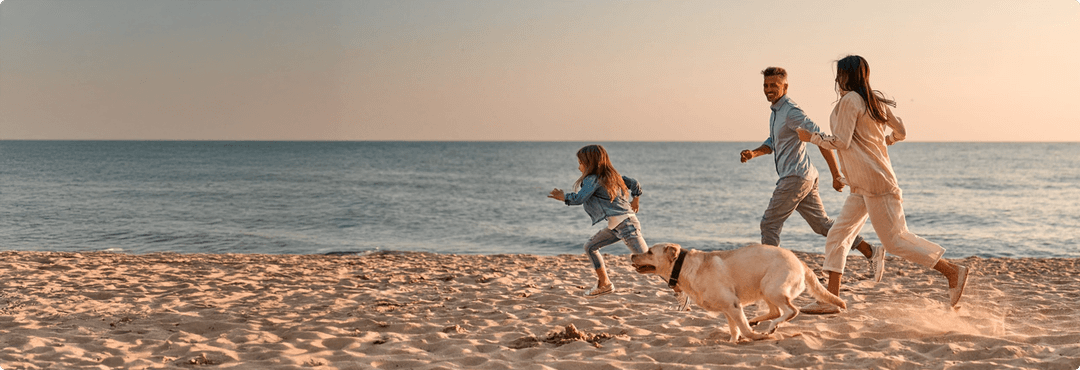 Allsafe Insurance Lefkoşa